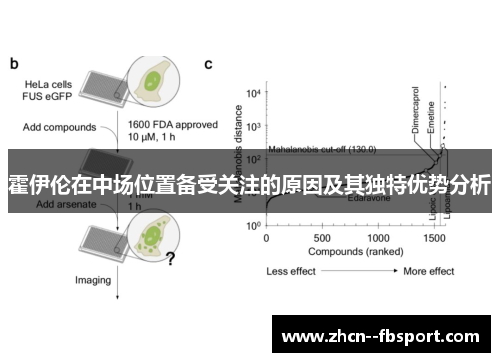 霍伊伦在中场位置备受关注的原因及其独特优势分析 霍伊伦在中场位置备受关注的原因及其独特优势分析